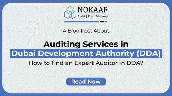 Auditing Services in Dubai Development Authority (DDA)