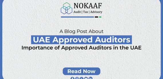 UAE Approved Auditors